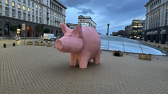 Рано сутринта преди обявения за днес протест против държането зад
