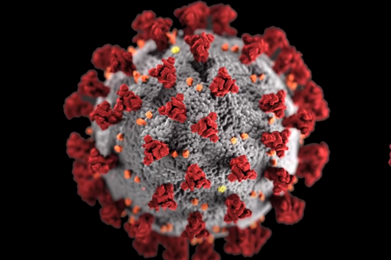 COVID 19 е далеч от това да се превърне в ендемично