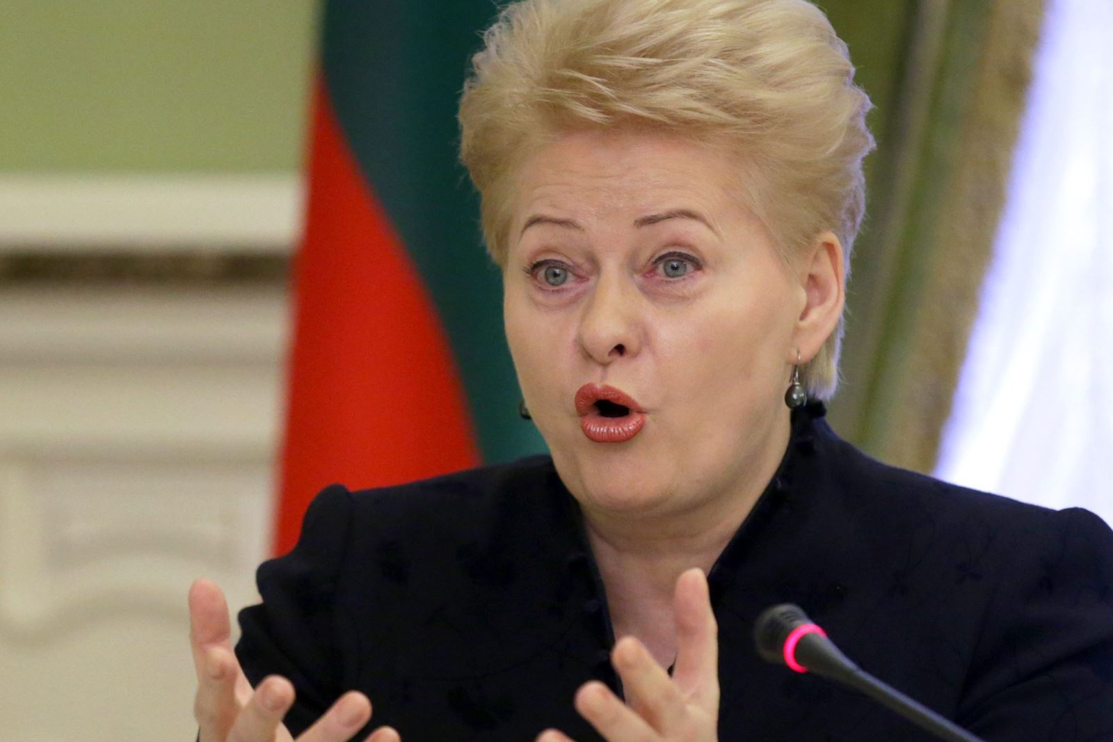 Бившата президентка на Литва Далия Грибаускайте заяви днес че западните