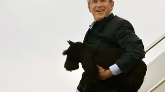Буш се жали: Путин не хареса кучето ми