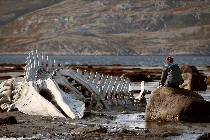Variety прогнозира: руският „Левиатан“ ще вземе „Златна палма“