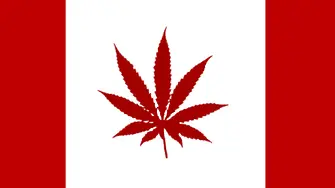 Изборите в Канада висят на стрък марихуана
