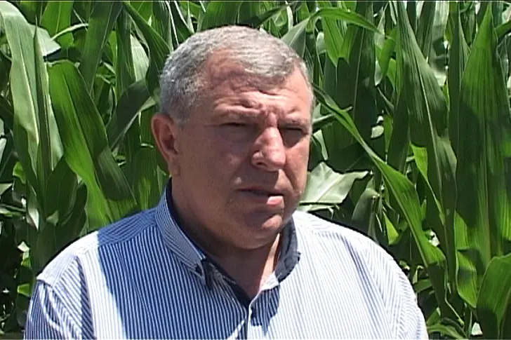 Греков: Пороите унищожиха 59 000 декара зърно, но жито ще има (обновена)