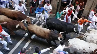 1500 евро глоба за селфи с бик
