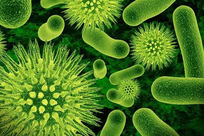 33 000 души годишно умират от бактерии, резистентни на антибиотик