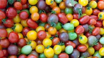 Производители: Българските плодове и зеленчуци вече са рядкост