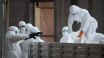 Истерия с ебола у нас