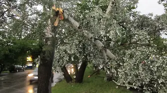 Буря в Симеоновград, градушка в Кирково