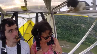 Котка полетя върху самолет (видео)