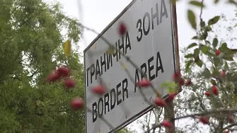 Какви имигранти се нанасят в България? Вижте отговора