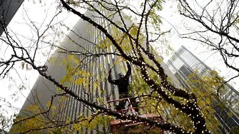 200 дървета в Ню Йорк с личен имейл
