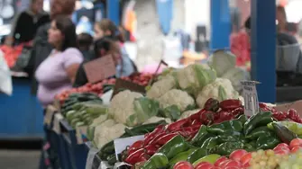 От днес: Москва спря турските зеленчуци