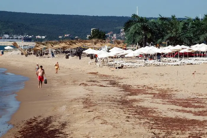 Експерти: Забраната за къмпингуване на плажовете трябва да се преосмисли