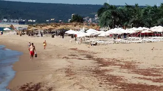 Експерти: Забраната за къмпингуване на плажовете трябва да се преосмисли