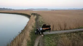 Птичият събор, изпълнен на пиано сред тръстиките (видео)
