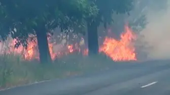 Стотици пожари в цялата страна (ВИДЕО)