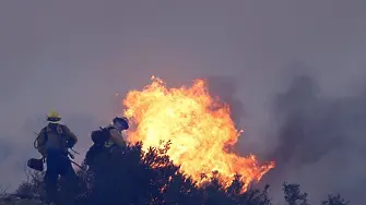 Над 82 000 евакуирани заради пожари в Калифорния (СНИМКИ)