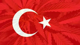 И Турция разреши медицинската марихуана