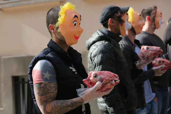Момчета с маски и агнешки главички пред ВСС (СНИМКИ)