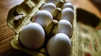 България и още 39 държави внесли яйца с фипронил