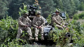 Гъбари блокират US танкове в Полша