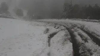 Затворени пътища и блокирани автомобили заради снега