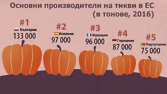 Знаете ли кой произвежда най-много тикви в ЕС? България