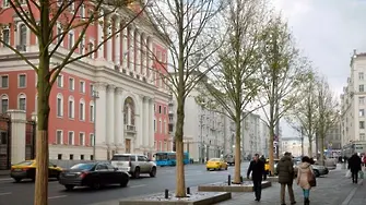 Дървета киборги плъзват из Москва