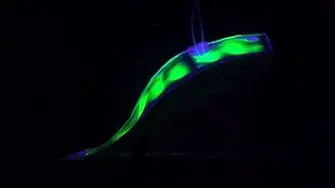 Учени създадоха плаващ робот змиорка