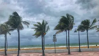 Тропическата буря 