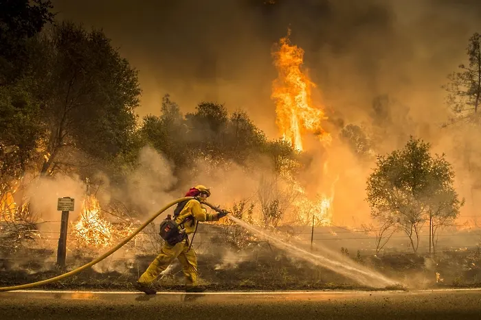 Шест жертви на пожари в Калифорния