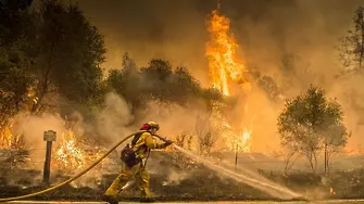 Шест жертви на пожари в Калифорния
