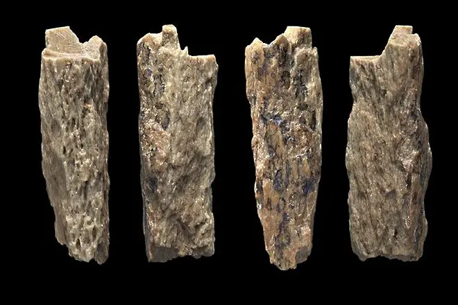 Момиче на 90 000 години - щерка на неандерталка и денисов човек