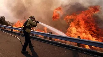 Вече 42 жертви на пожара в Калифорния
