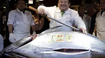 Рекорд - 2,7 милиона евро за риба тон