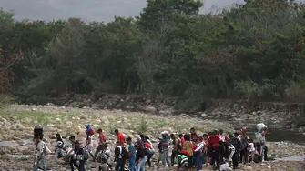Чавистки милиции тероризират населението  по границата между Колумбия  и Венецуела