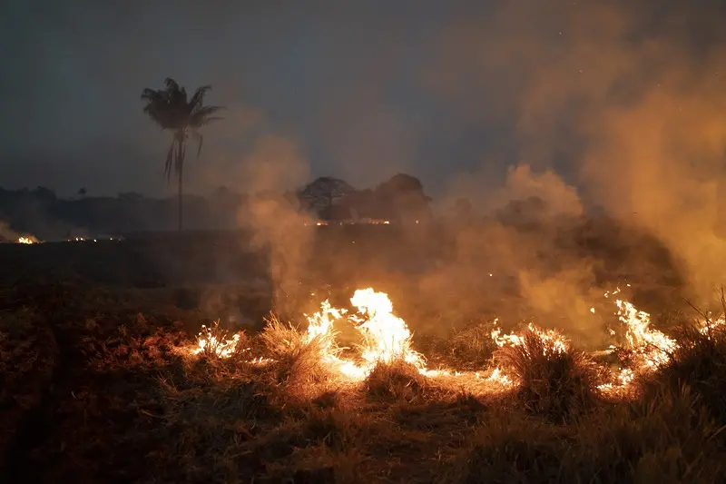 Бразилия праща армията да гаси пожара в Амазония