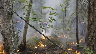 Площта на пожарите в Сибир надхвърли 1,5 милиона хектара