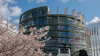 Евродепутатите подкрепиха Зеления пакт
