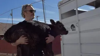 Веганът Хоакин Финикс спаси крава и теле от кланица (ВИДЕО)