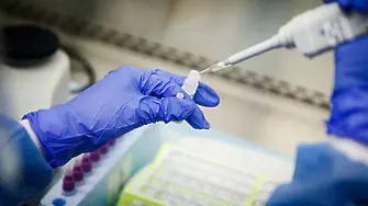 Нидерландски учени откриха антитяло срещу коронавируса