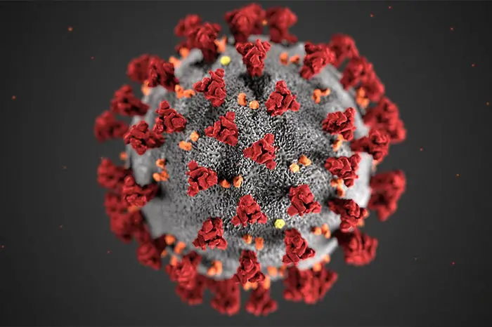 Учени искат ново независимо разследване за произхода на коронавируса