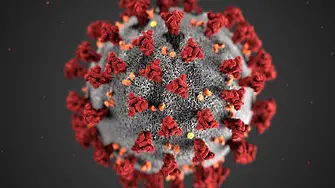 Учени искат ново независимо разследване за произхода на коронавируса