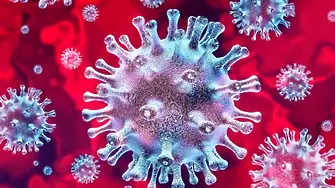 Коронавирусът е достатъчно стабилен, за могат да се създадат ваксини и лекарства