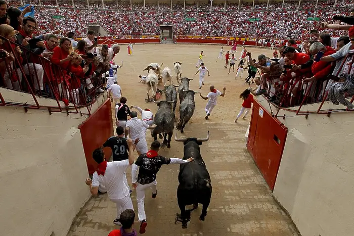 Отмениха традиционното бягане пред бикове в Памплона