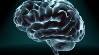 Невролози предупреждават за сериозно мозъчно увреждане след COVID-19