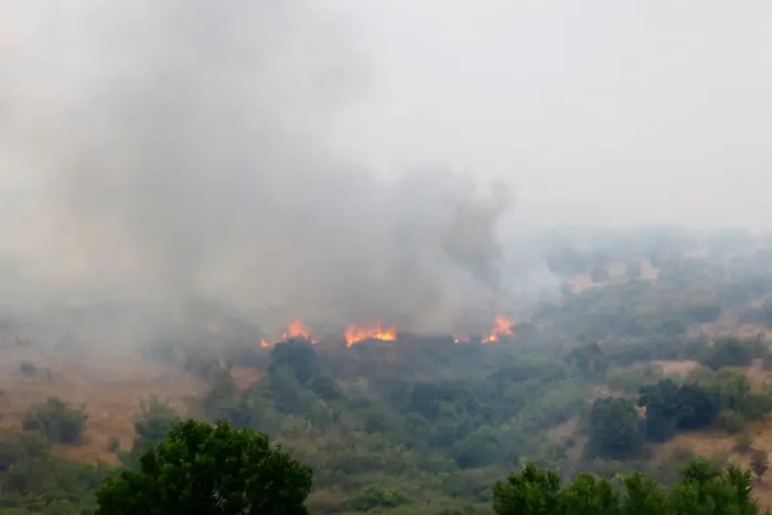 Голям пожар гори в Свиленградско