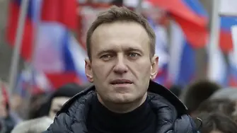 Германия е дала резултати от тестове на Навални на Организацията за забрана на химическите оръжия