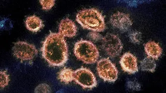 Новите варианти на коронавируса: колко трябва да се тревожим