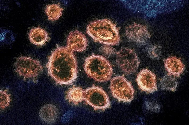 Учени са разтревожени от нов вариант на вируса в Калифорния